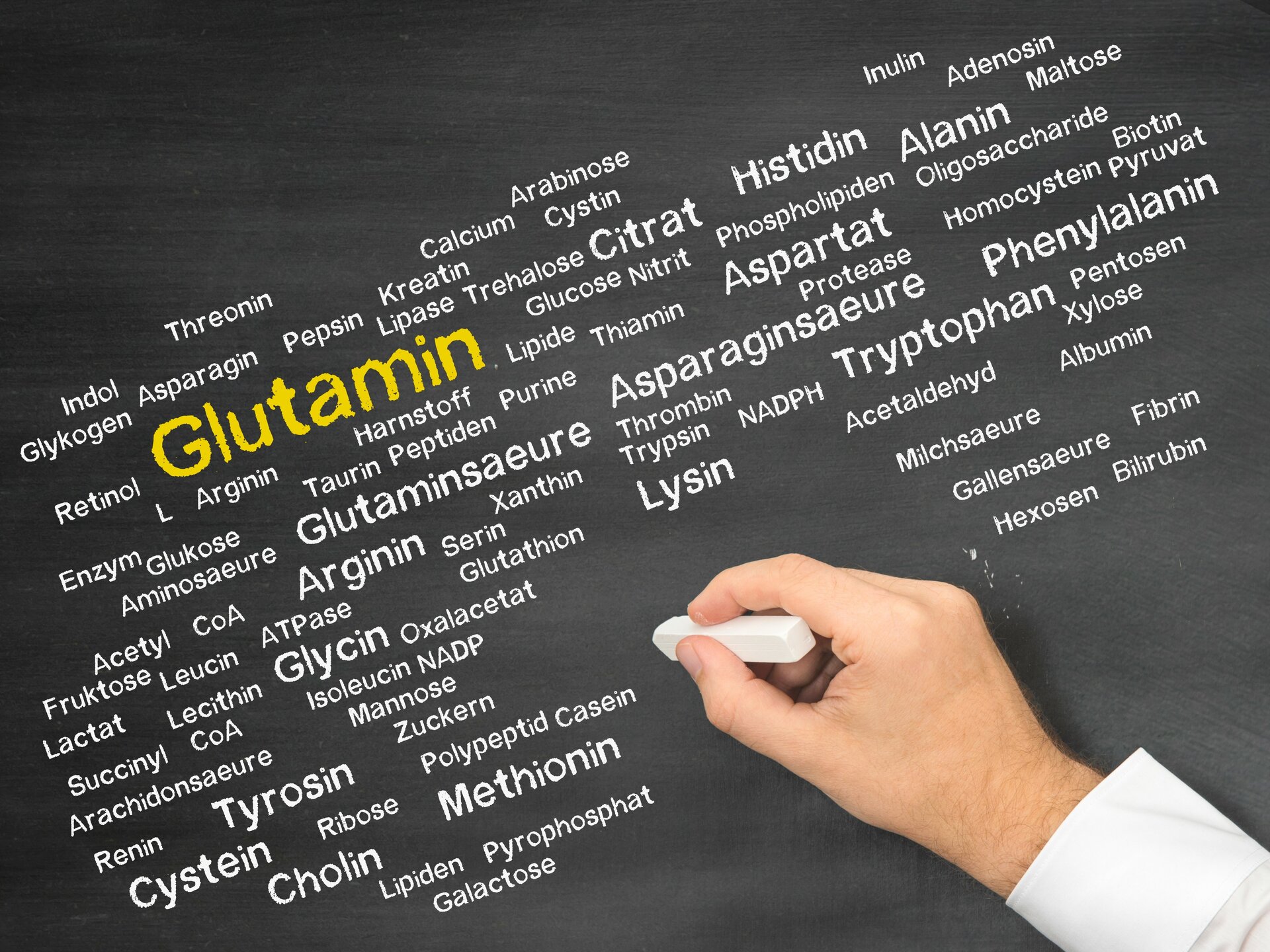 Glutamin – Ein Überblick!